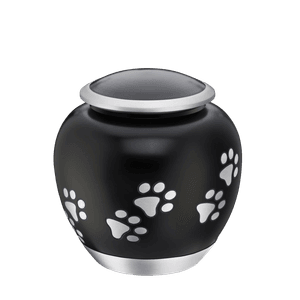 Hovedbilde Black Shadow