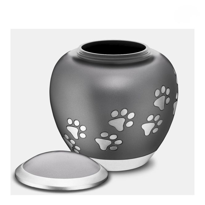 Hovedbilde Grey  Shadow