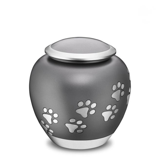 Hovedbilde Grey  Shadow