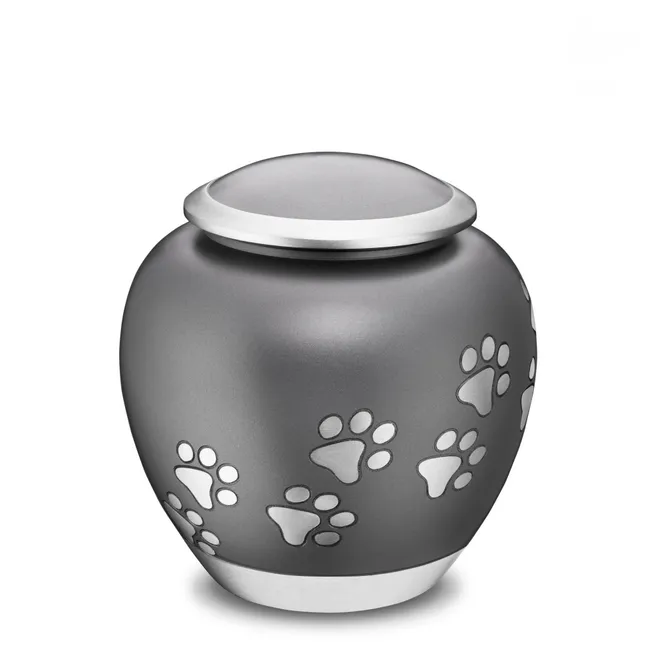 Hovedbilde Grey  Shadow