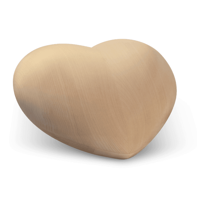 Hovedbilde Soul Heart